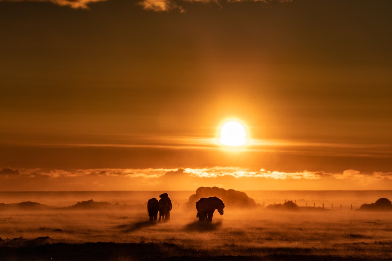 Photographer’s dream in Land of Ice and&nbsp;Fire