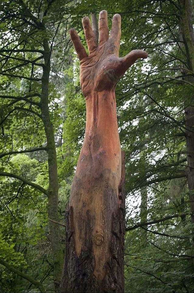 The real-life giant hidden in the Welsh&nbsp;woods