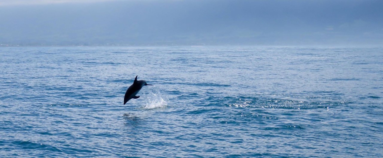 Saturday Snapshot: Kaikoura, New Zealand