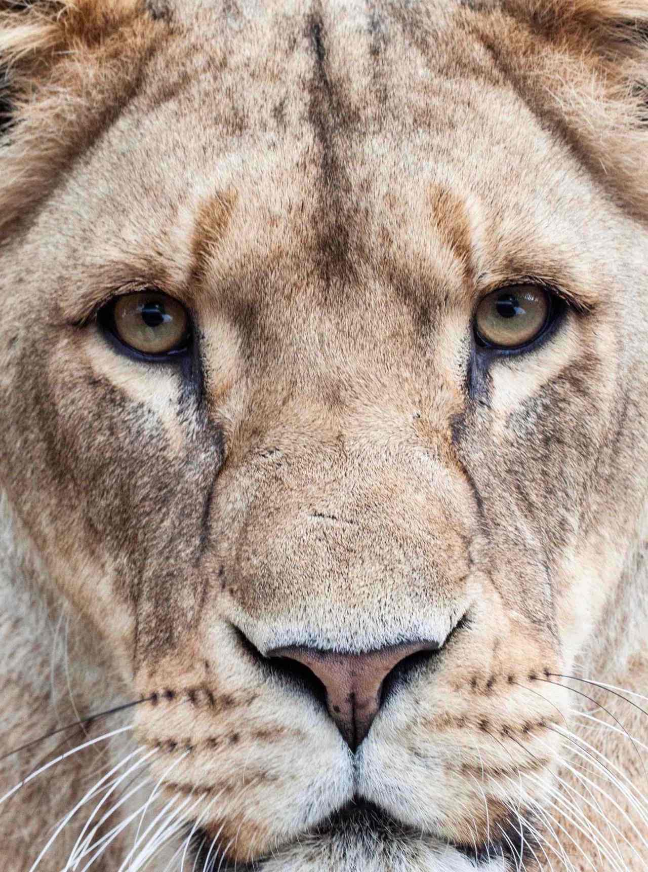 Saturday Snapshot: Woburn,&nbsp;England