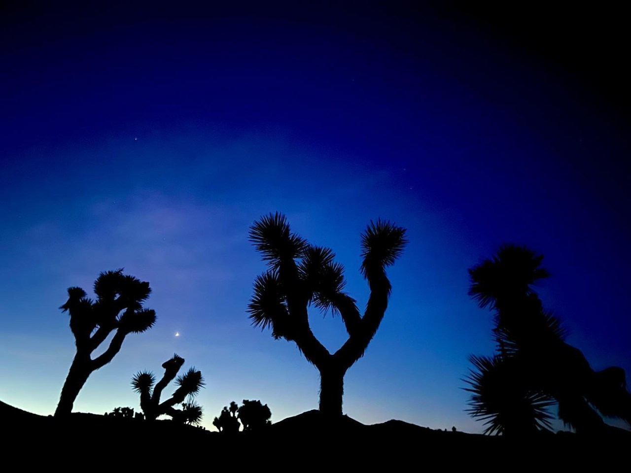 Sunrise over the Joshua Tree national&nbsp;park