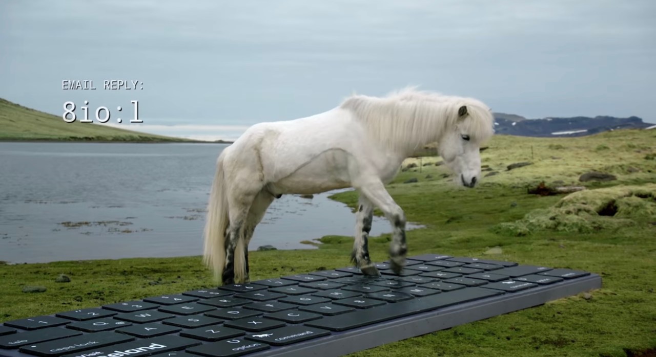 Fed up of work emails on holiday? Get them answered by a horse