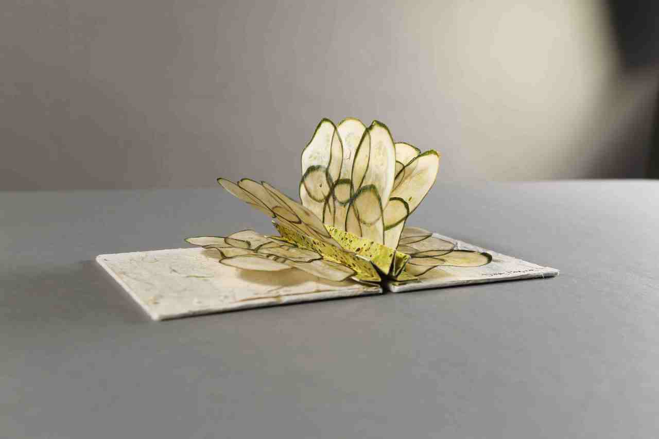 Bottled book smells and volumes made of veg and cheese at sensational&nbsp;show