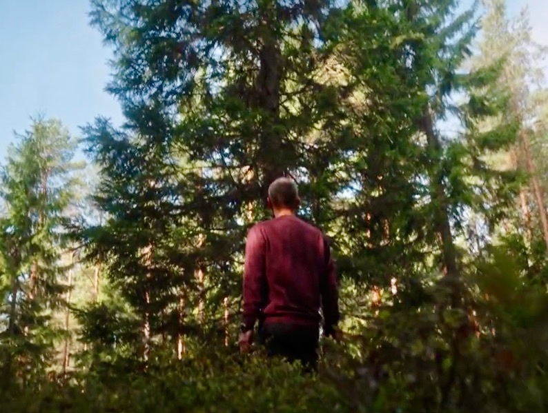 Norwegian quest for the perfect Christmas tree to send to London