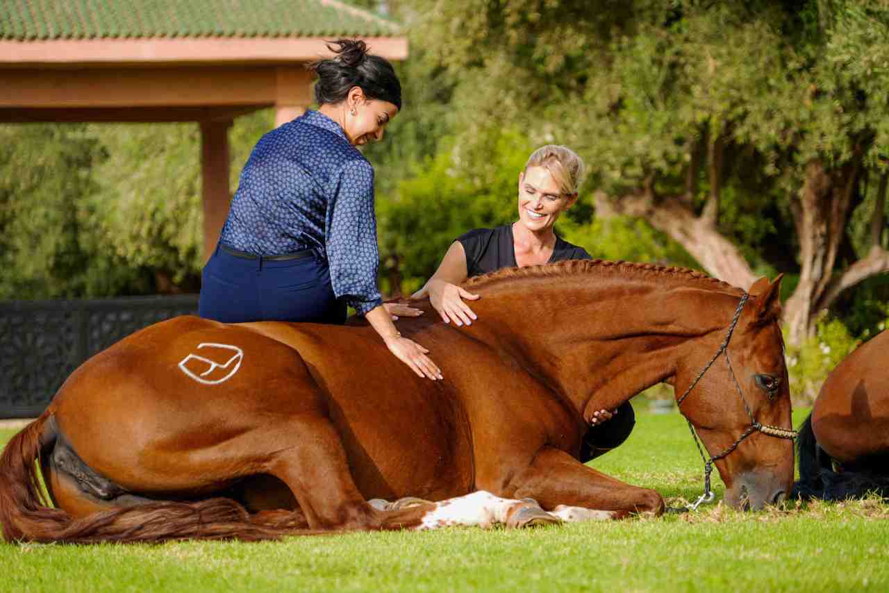 Destination spa hotel offers new wellness therapy with&nbsp;HORSES