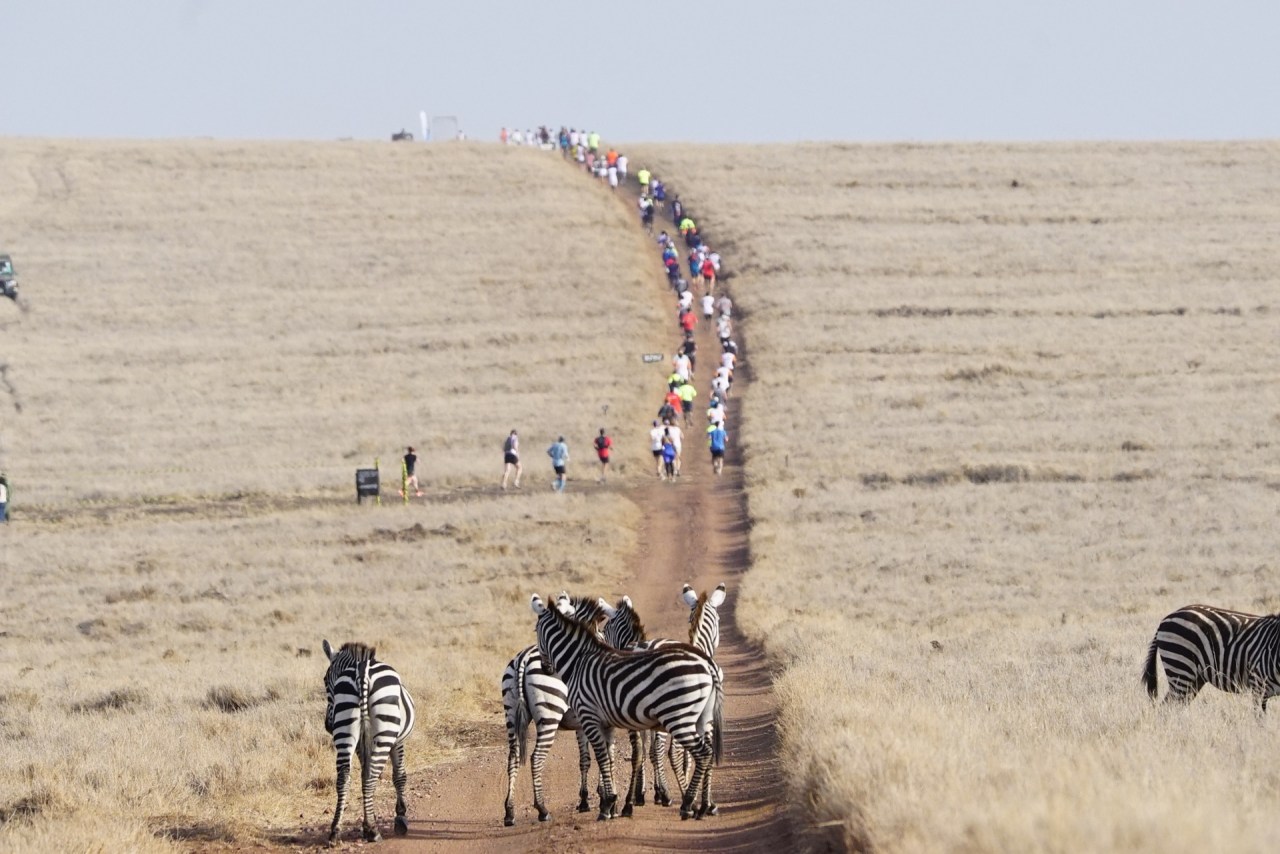 Runners share toughest marathon route with Africa’s safari ‘big&nbsp;five’