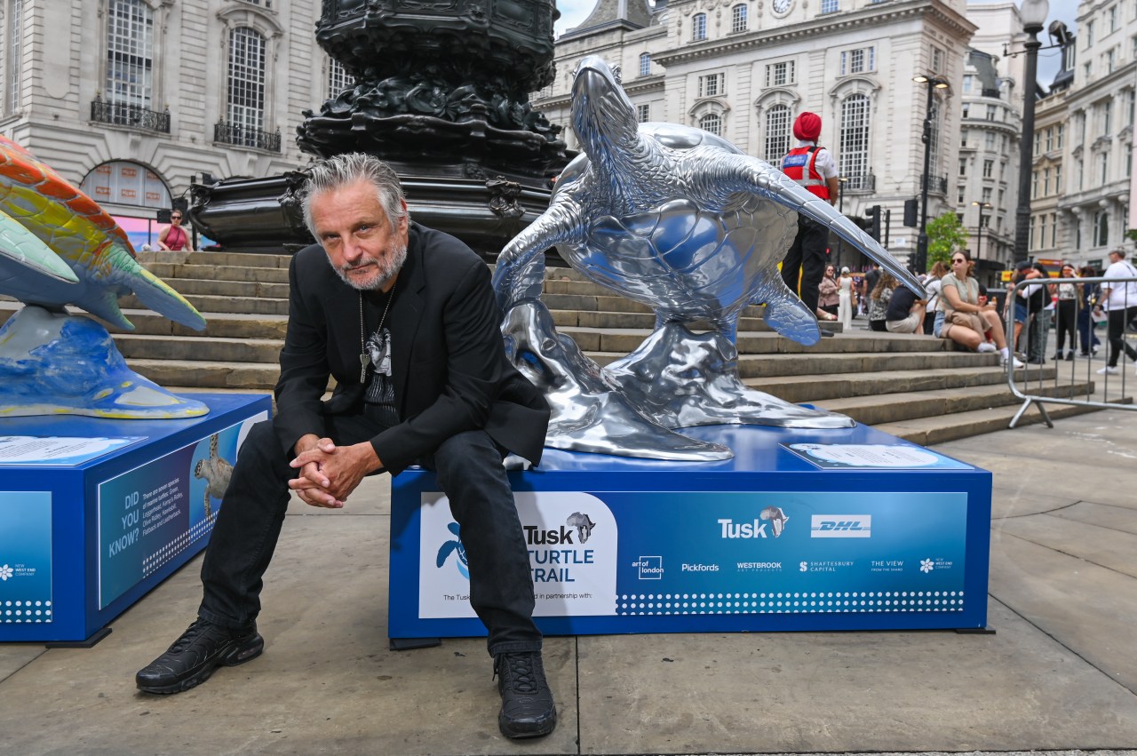 London is turning turtle  with the help of a host of celebrity&nbsp;A-listers