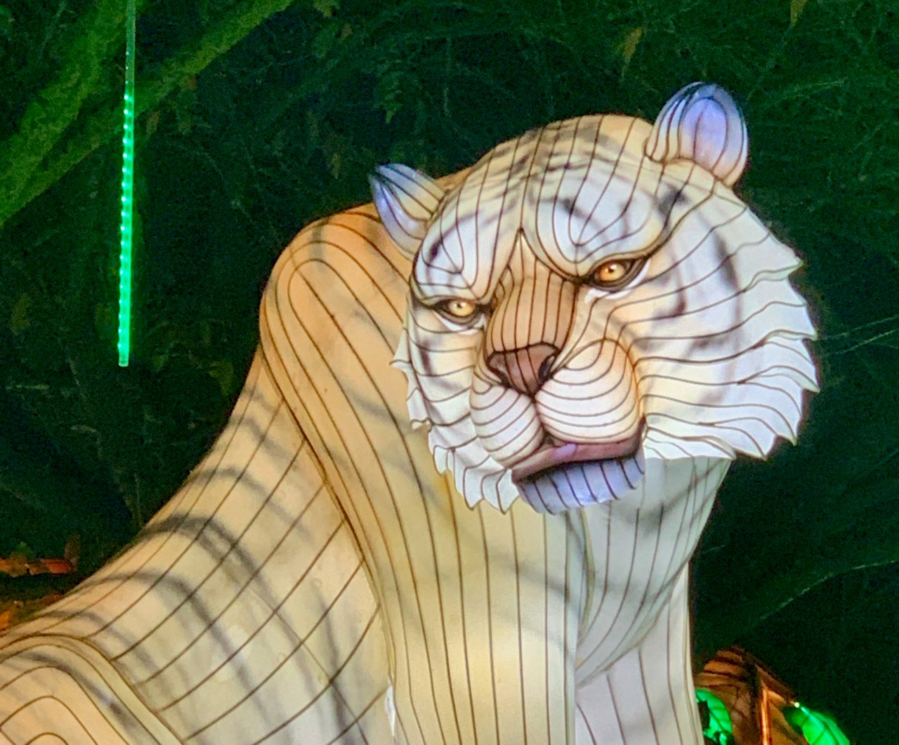 Lanterns of the Wild trail, Twycross Zoo – review and&nbsp;pictures